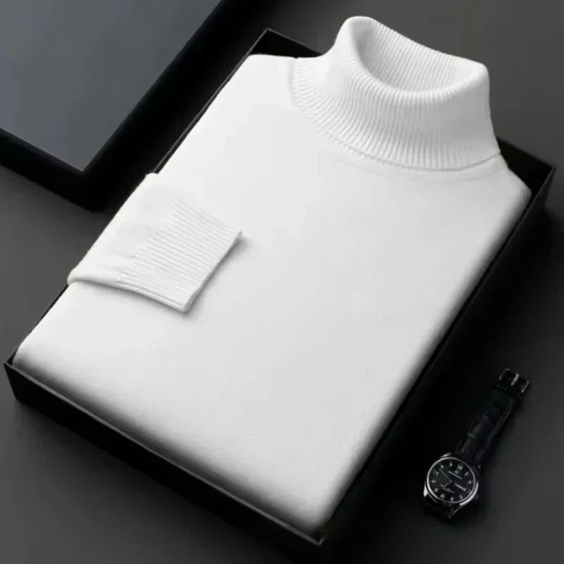 Alwin | Warmer Rollkragenpullover